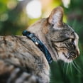 thumbnail image 2 of Buckle-Down Breakaway Cat Collar With Bell, Plastic Clip, Easy Adjustable, Grunge Chaos Blue, 8.5 to 12 Inches 0.5 Inch Wide, 2 of 4