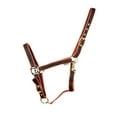 thumbnail image 1 of HYCONIC Collier de Cheval, 1 of 2