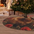 thumbnail image 6 of Rateoe Rose Cute Guinea Pig Print Christmas Tree Skirt 30" for Xmas Holiday New Year Party Circle Tree Mat Ornaments Decoration, 6 of 7
