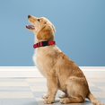 thumbnail image 2 of Reflective Dog Collar, Adjustable Soft Neoprene Padded Nylon Pet Collars with Buckle for Small Dogs, Navy Blue,S, 2 of 6