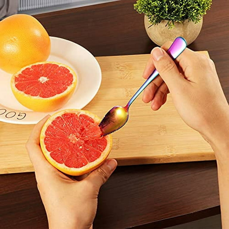 2 Grapefruit Knives Stainless Steel Dual Serrated Edge Blade Knife Citrus  Fruit