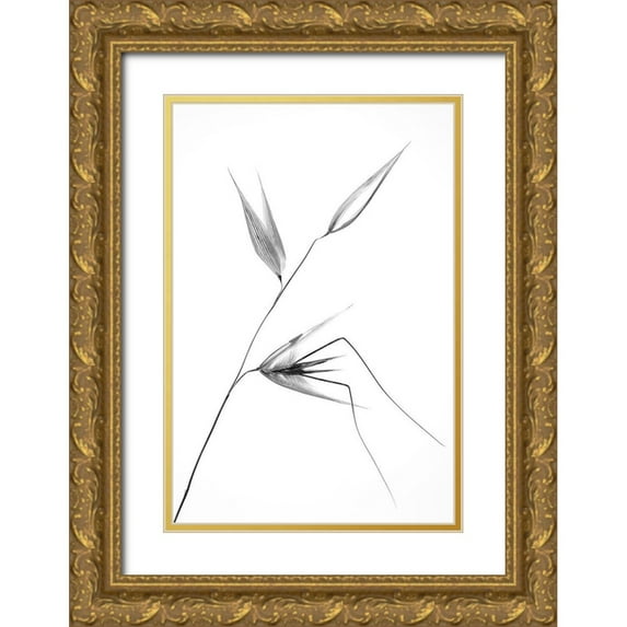 Lagandre, Thierry 13x18 Gold Ornate Wood Framed with Double Matting Museum Art Print Titled - beauty of a weed