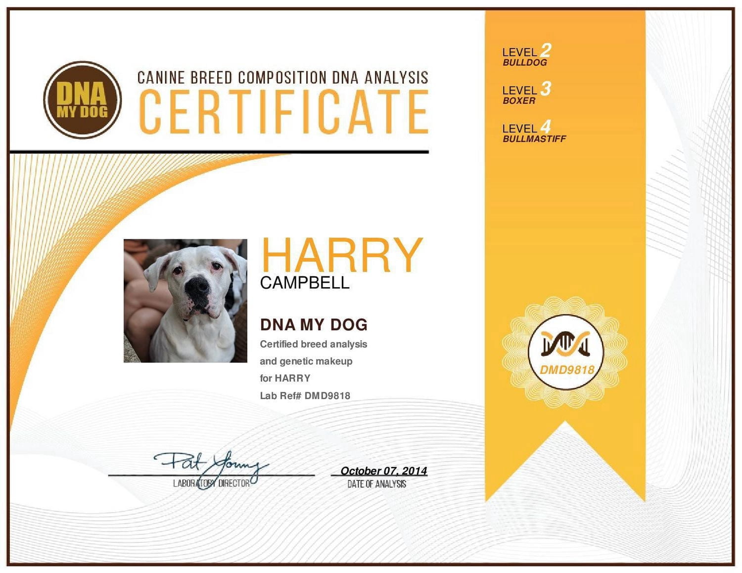 DNA My Dog - NextGen Breed ID PLUS Genetic Age Test