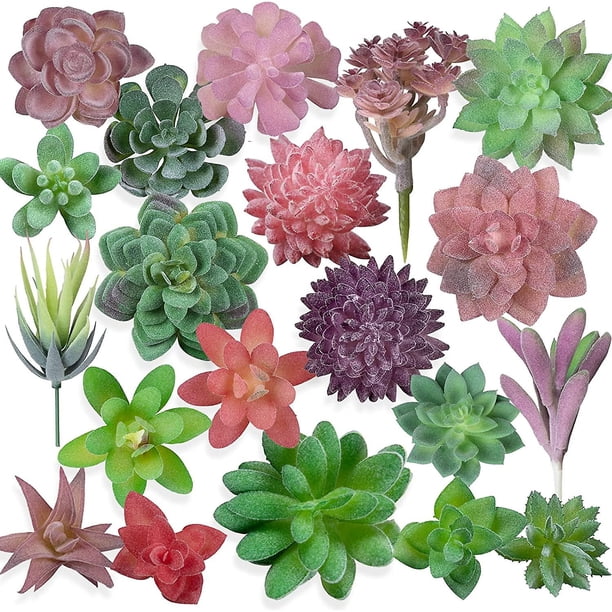 20 piezas de plantas suculentas artificiales sin maceta, mini suculentas falsas flocadas, suculentas artificiales realistas, suculentas falsas surtidas, mini plantas falsas F