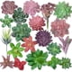 thumbnail image 1 of 20 piezas de plantas suculentas artificiales sin maceta, mini suculentas falsas flocadas, suculentas artificiales realistas, suculentas falsas surtidas, mini plantas falsas F, 1 of 5