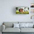 thumbnail image 2 of Trademark Fine Art The Macneil Studio Gypsy Caravan Canvas Wall Art - 24x47, 2 of 5