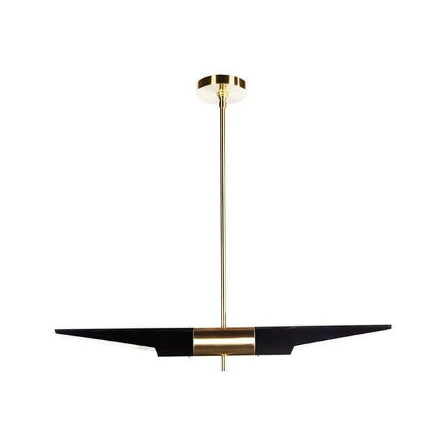 Control Brands LM4192PBLKS Hagne Ceiling Light, Black & Gold