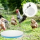 thumbnail image 5 of Base calentadora de agua para aves de corral, base calefactora de agua para pollos, calentador de agua para mascotas (enchufe estadounidense), 5 of 7