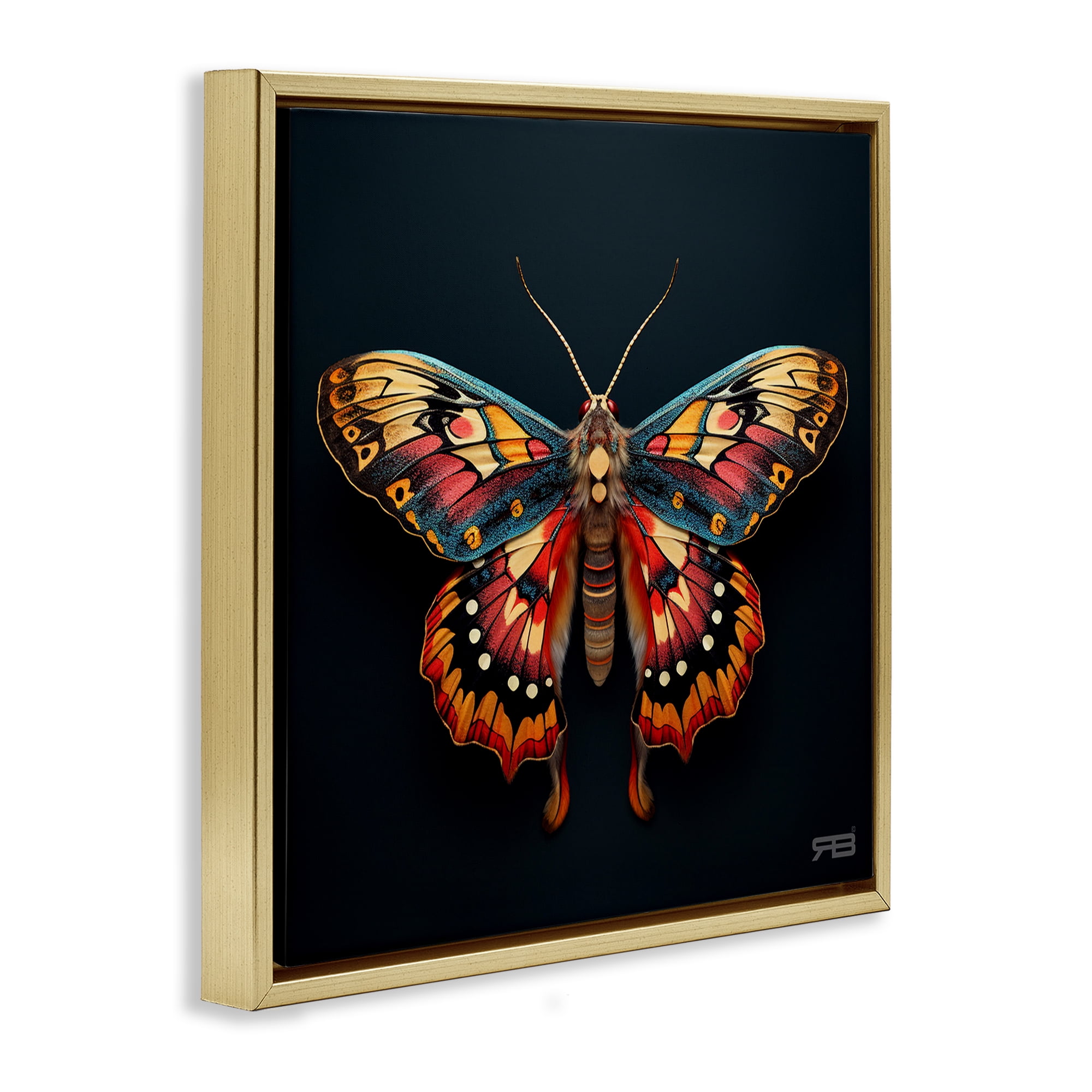 Stupell Industries Vivid Patterned Moth Animals & Insects Painting Gold Floater Framed Canvas Art Print Wall Art, 25 x 25