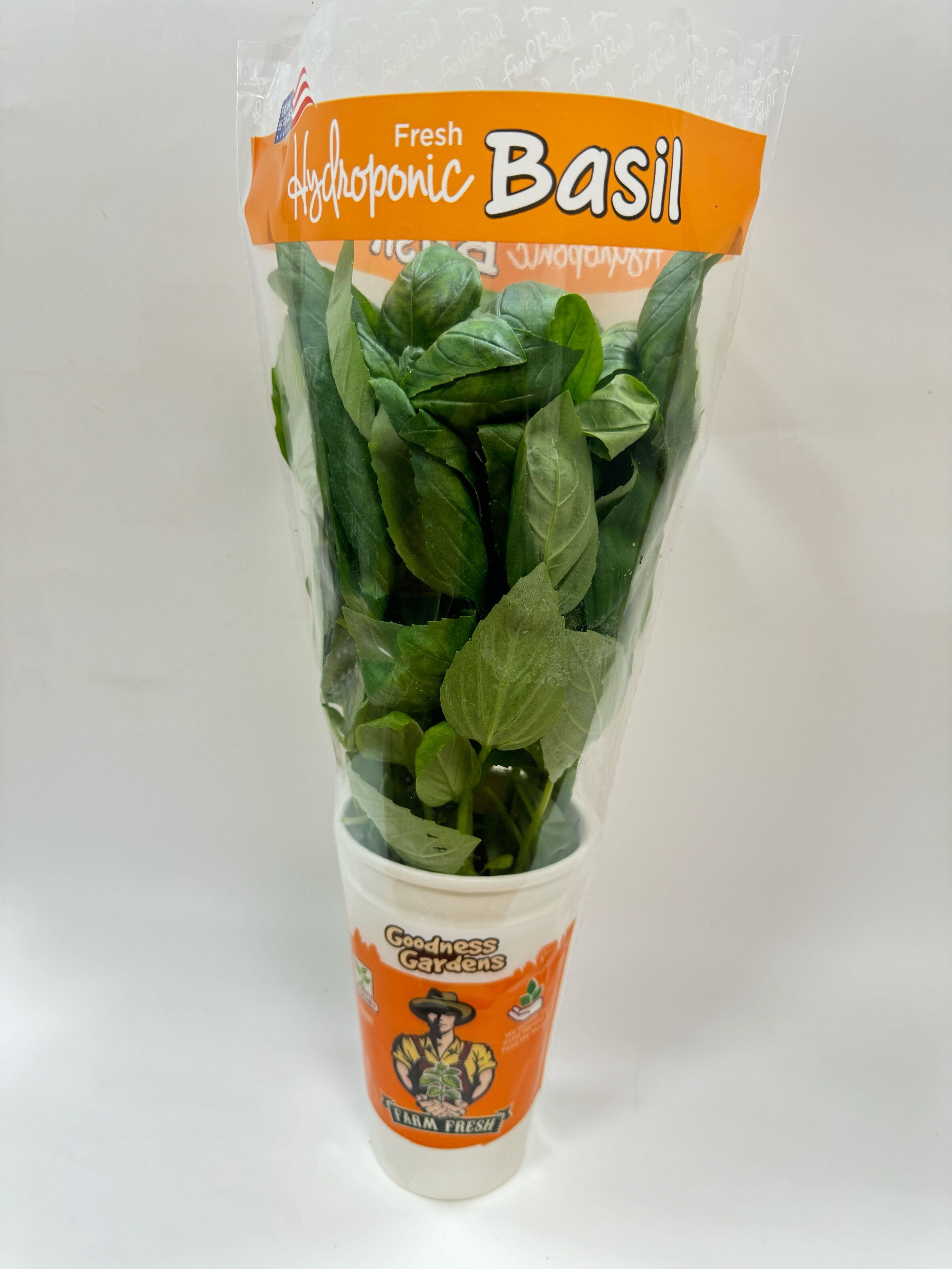Gg Hydroponically Grown Basil