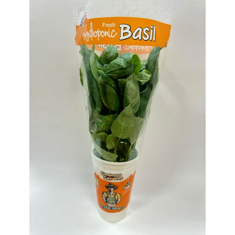 Gg Hydroponically Grown Basil - Walmart.com