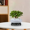 thumbnail image 6 of Dongrere Lotus Bowl Planter Planter Pot for Indoor Garden Ceramic Flower Planter with Stand, 6 of 6