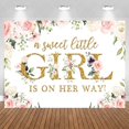 thumbnail image 2 of A Sweet Little Girl Is On the Way Baby Shower Backdrop, 2 of 5