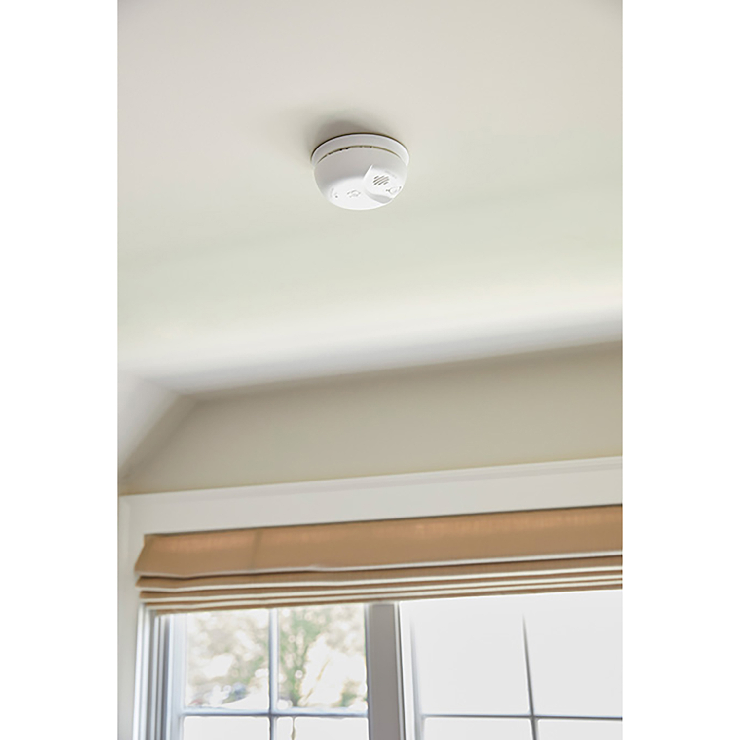 First Alert 2-in-1 Smoke and CO Alarm, Battery-Operated photo 2