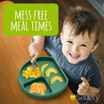 thumbnail image 6 of Toddler Plates Suction Plates for Baby Silicone Baby Plates 100% Food-Grade Silicone, First Stage toddler plate With Suction Feeding Supplies for Kids, Microwave & Dishwasher Safe Green, 6 of 7