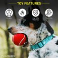thumbnail image 2 of CHUANK Squeaky Dog Toy Chew Ball  All-Natural Beef Scent  Medium/Large  Red, 2 of 7