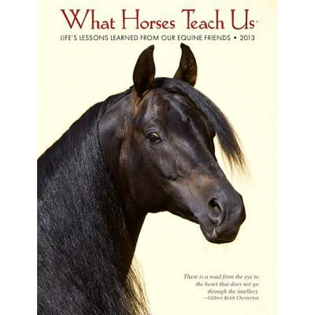 What Horses Teach Us Life S Lessons Learned From Our
