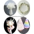 thumbnail image 5 of 120 Sticks Dried Bunny Tail, White Bunny Tail, Natural Bulk Dried Flowers for Diy Bohemian Wedding Rustic Party Decorations, Home Vase Decorations, Wreaths, Birthday Cake Decorations.(White), 5 of 11