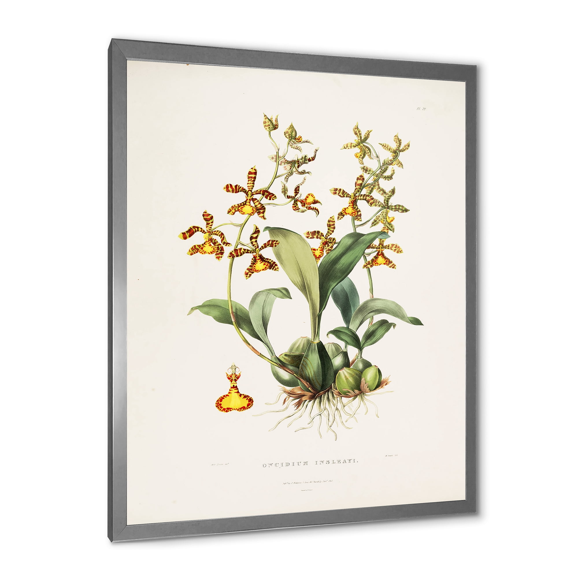 Designart 'Ancient Flower I' Traditional Framed Art Print
