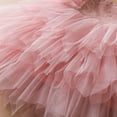 thumbnail image 6 of GYRATEDREAM Toddler Baby Girls Special Occasion Dresses Printed Princess Dress Ruffle Tulle Tutu Dress Birthday Summer Clothes 2025 Summer Style for 6M-5Y, 6 of 11