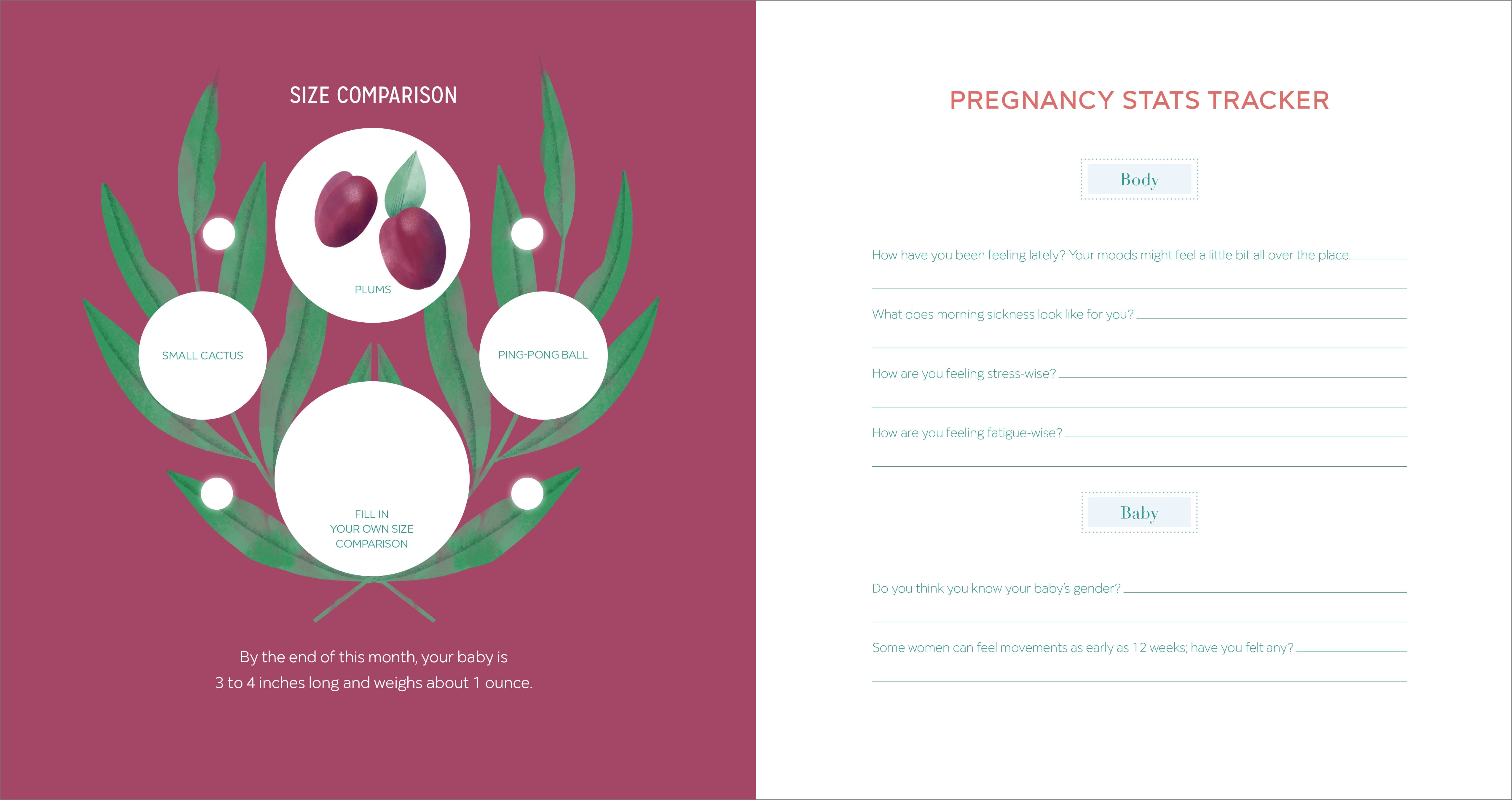 The First-Time Mom's Pregnancy Journal: Monthly Checklists, Activities, & Journal Prompts (Spiral Bound)