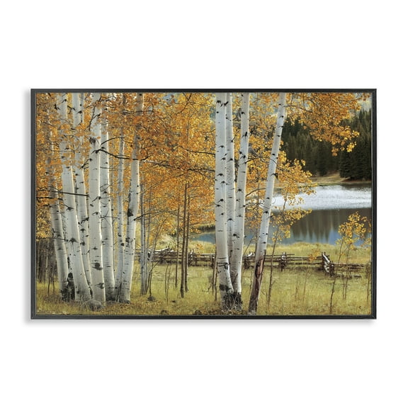 Stupell Industries Autumnal Birch Beauty Black Framed Giclee Art design by Mike Jones, 12 x 18