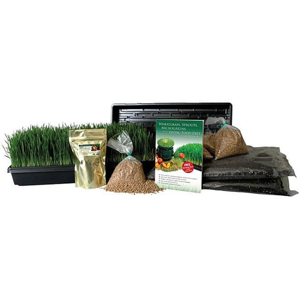 Certified Organic Wheatgrass Growing Kit Grow & Juice Wheat Grass