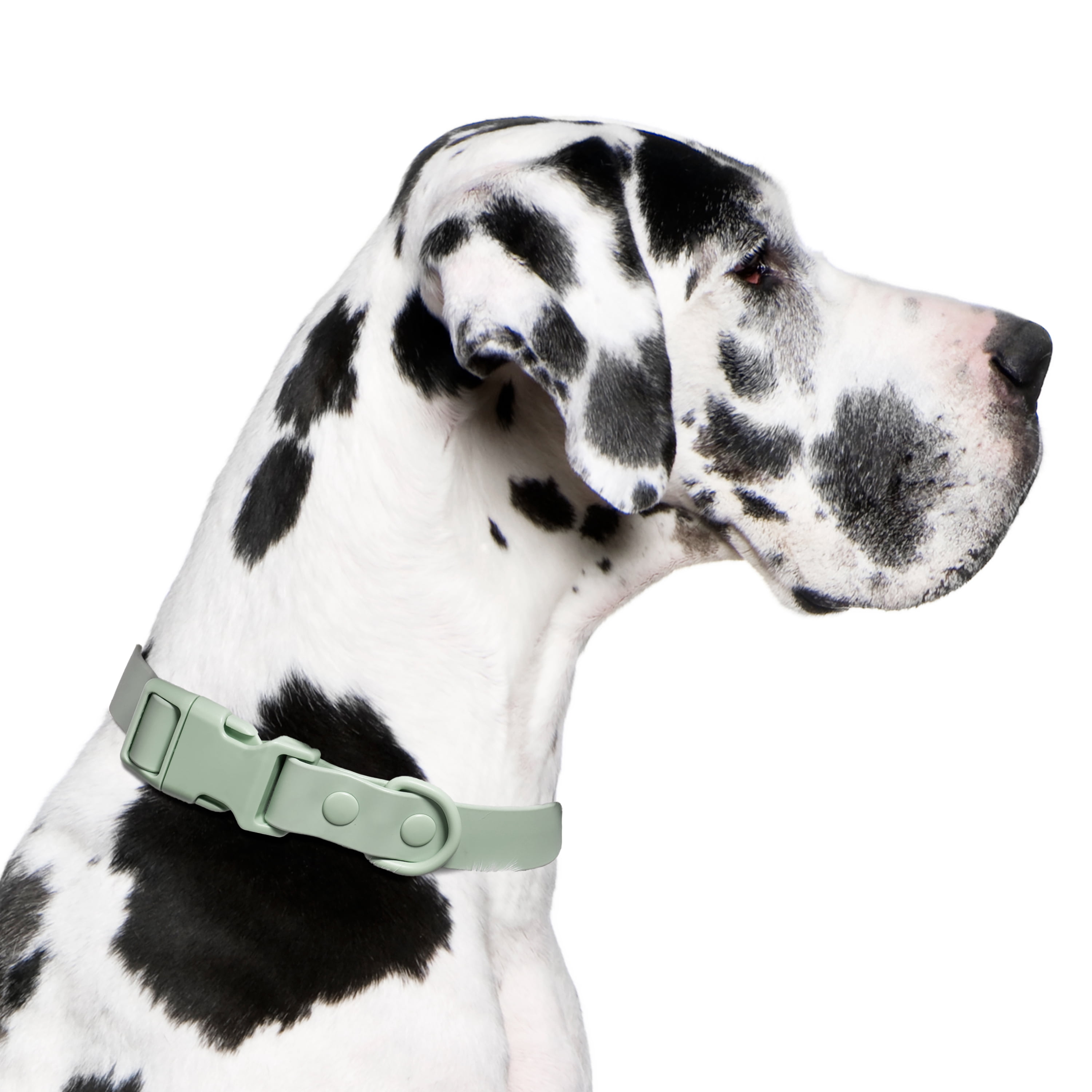 Vibrant Life Water Resistant Adjustable Dog Collar, Sage Green, XL