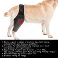 thumbnail image 5 of Gostoto Pet Dog Fixed Knee Brace Fracture And Disability Dog Leg Auxiliary Belt Pet Joint Protector, 5 of 7