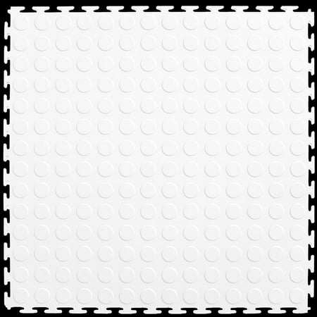 White Coin Top 20.5-in x 0.25-in Interlocking Tiles (Case 8)
