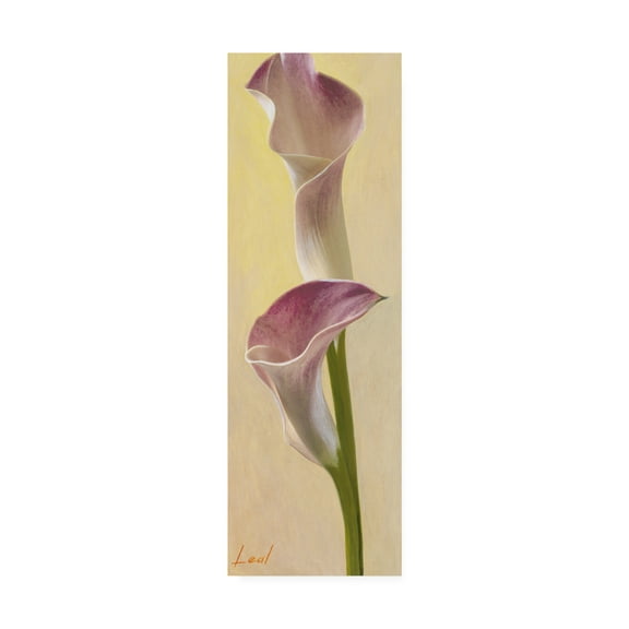 Trademark Fine Art 'Pink Floral Bell 2' Canvas Art by Pablo Esteban