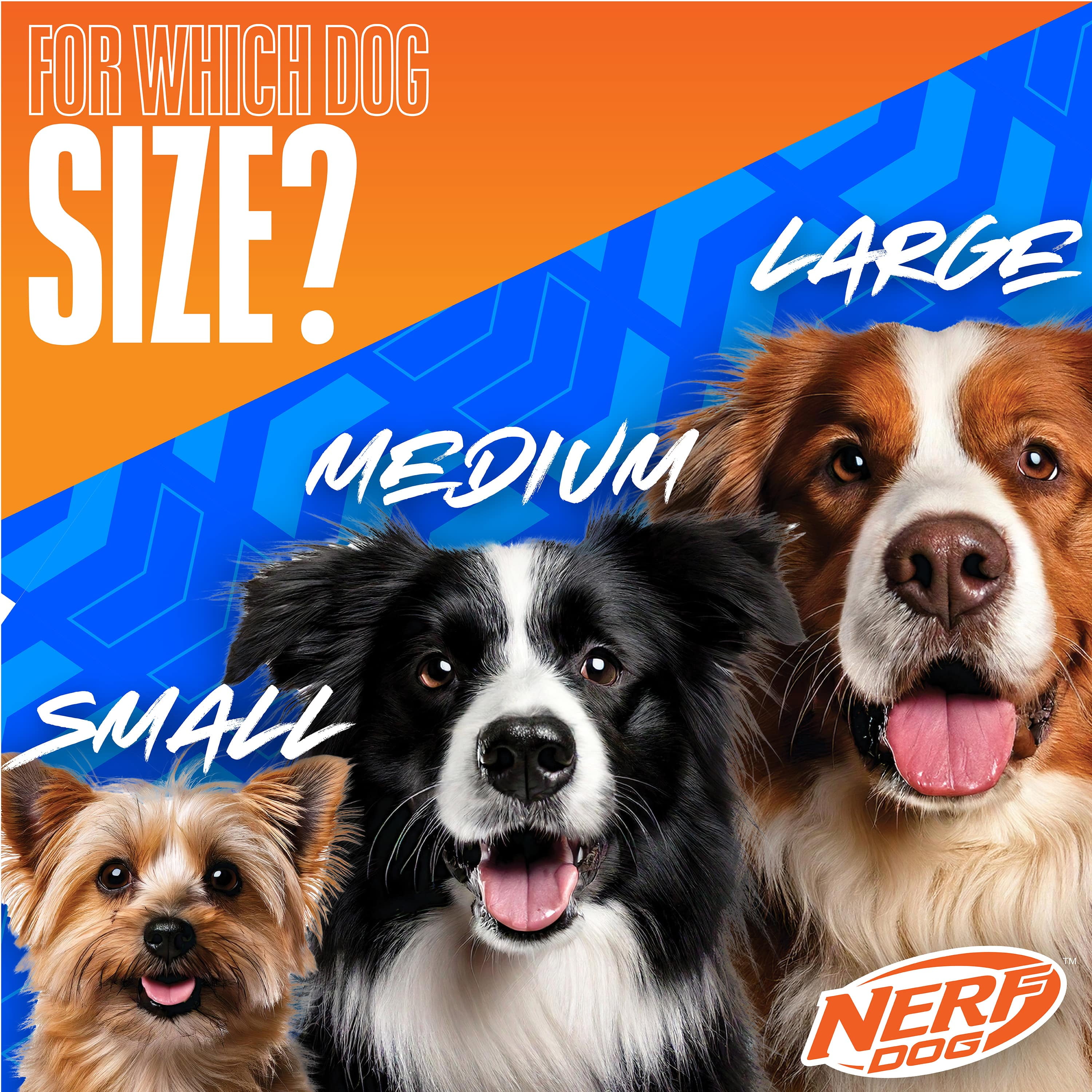 (4 pack) Nerf Dog Light Up & Glow Ball