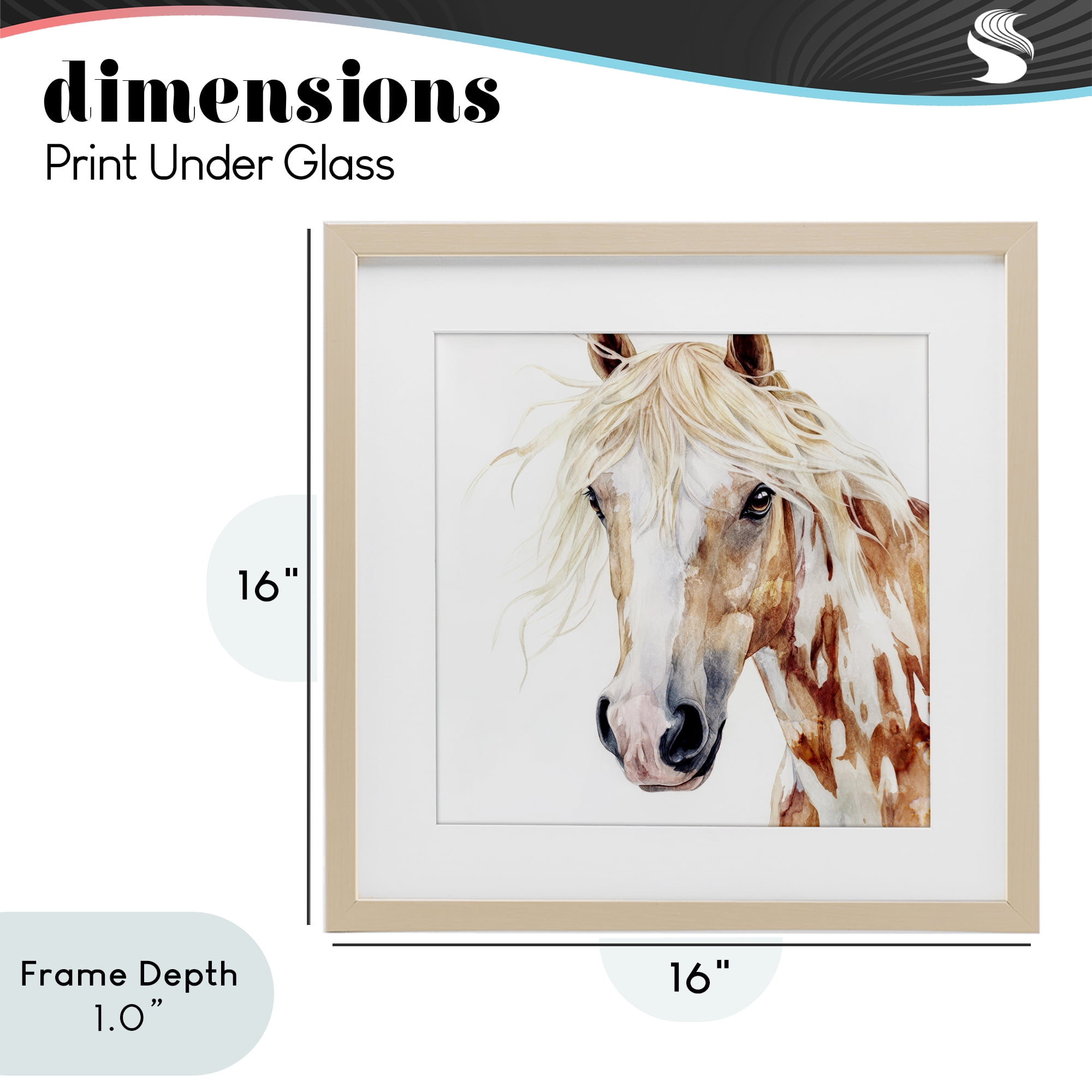Stupell Industries Majestic Mane Spotted Horse Birch Framed Print Under Glass, design by Svetlana Aleynikova
