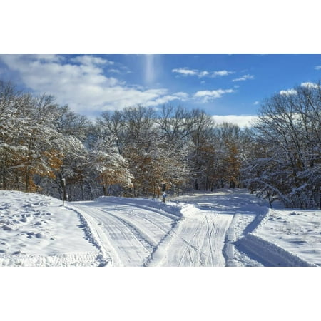 Classic Cross Country Ski - Criss Crossing Cross Country Ski Trails Print Wall Art By Steven Gaertner
