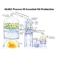 thumbnail image 1 of AKARZ-Aceites Esenciales para difusores de aromaterapia, aceites aromáticos profesionales para el cuidado de la piel y la cara, gran oferta"100MLBenzoin" Fivean LED, 1 of 1