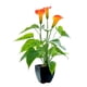 thumbnail image 1 of Bonsái de imitación, flor de cala naranja, ideal para cualquier ocasión, 1 of 8