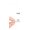 White, variant on A Geographical and Historical Description of Ancient Greece, With a Map and Plan of Athens (Hardcover)