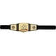 thumbnail image 4 of Título de campeonato Mattel WWE Undisputed Universal 3ft+, 4 of 6