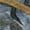 Denim, variant on Addison Rugs Mayfield Premium Machine Washable Transitional Abstract Taupe Rectangle Rug, 10' x 14'