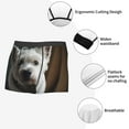 thumbnail image 6 of Kll Dog Wrapped In Towel 1 Men'S Cotton Boxer Briefs Underwear-X-Large, 6 of 9