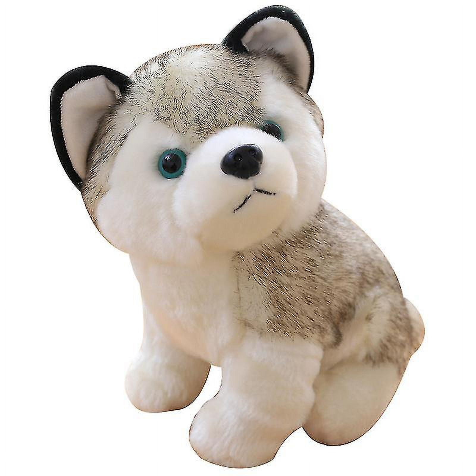 Husky teddy bear dog hotsell