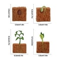 thumbnail image 4 of CREATITOY 4PC Realistic Plant Growth Cycle Educational Toys for Kids 3+ | Safe PVC Science Figurines Kit for Preschool Learning & Home Decor, 4 of 7
