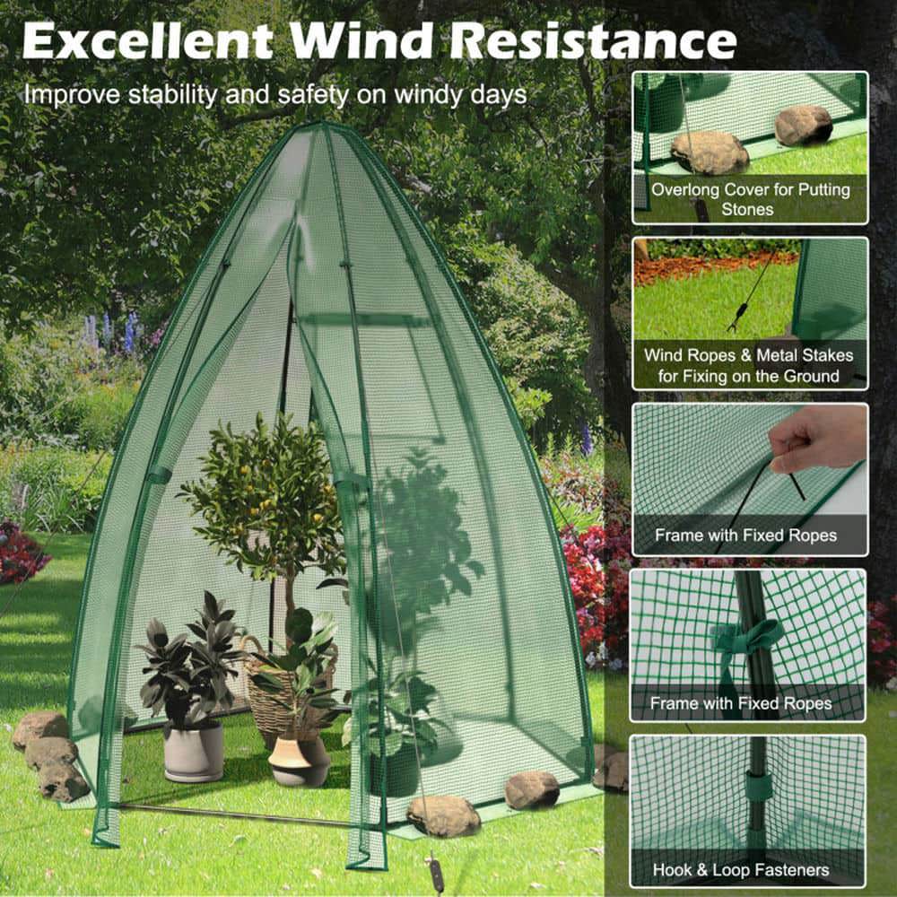 Spaco 5.5 x 5.5 x 6 Feet Portable Mini Greenhouse with All-Weather PE Cover, Mini Greenhouse with Zippered Door and Roll-up Window for Outdoor, Green