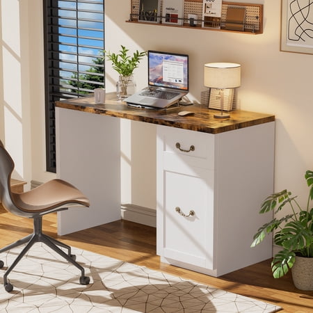 Computer Desk with Drawer and Cabinet, Home Office Desk with Storage, Modern Simple Laptop Desk Study Writing Table for Work, Small Spaces