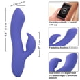 thumbnail image 6 of CalExotics Connect Dual Rabbit Vibrator with App Compatible Control, Purple, 6 of 12