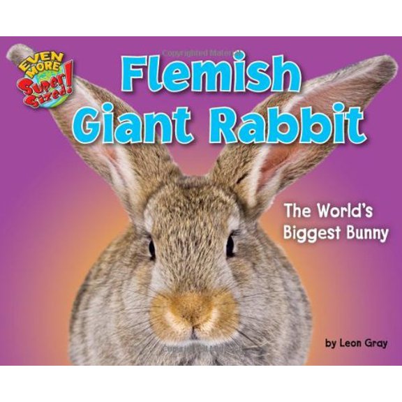 Pre-Owned Flemish Giant Rabbit: The World's Biggest Bunny (Library Binding) 1617727296 9781617727290
