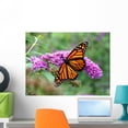 thumbnail image 1 of Monarch Butterfly Wall Mural Decal by Wallmonkeys Vinyl Peel and Stick Graphic (24 in W x 18 in H), 1 of 4