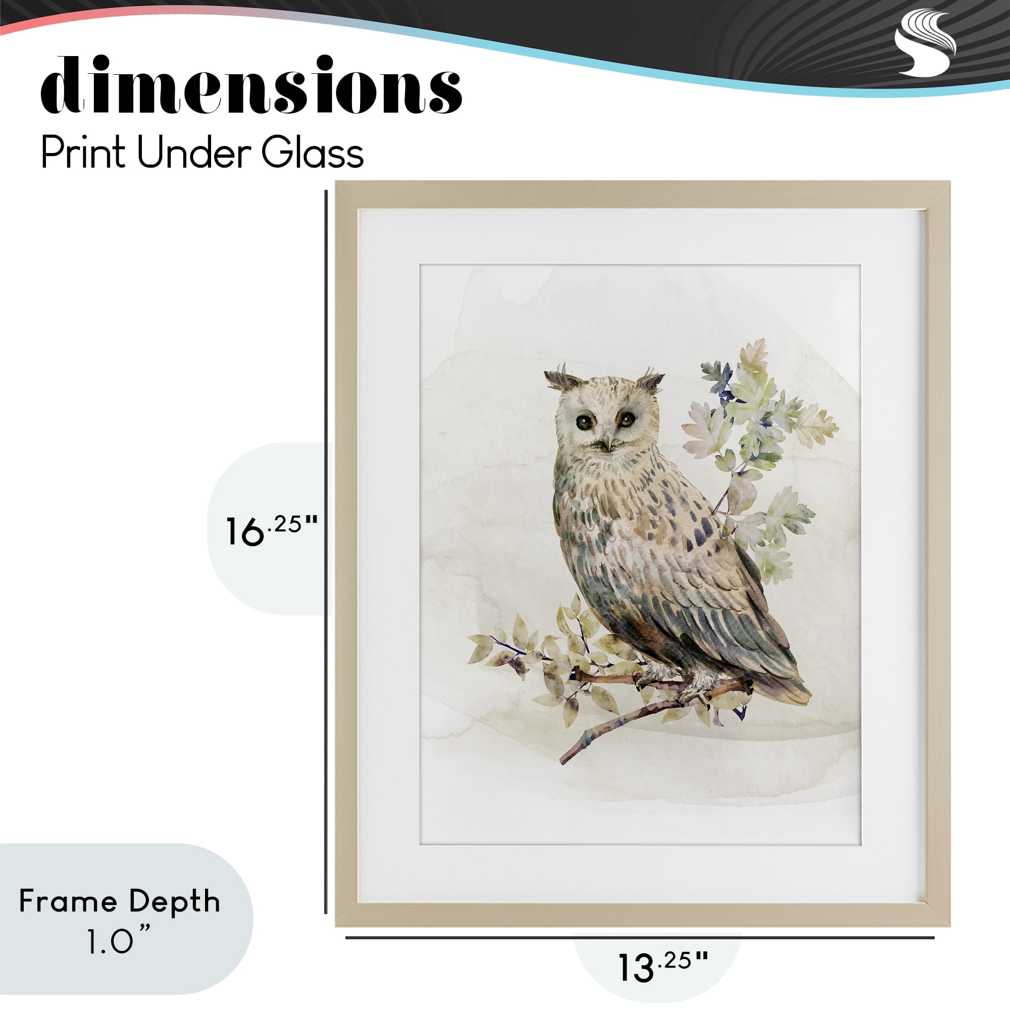 Stupell Industries Forest Owl with Foliage Birch Framed Print Under Glass, design by CAD Designs