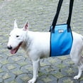 thumbnail image 5 of Pet Portable Dog Sling for Back Legs,Assistive Belt for Elderly Disabled and Injured Dogs, 5 of 16