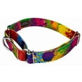 thumbnail image 2 of Country Brook Petz® 1 inch Paint Splatter Martingale Dog Collar, Medium, 2 of 6